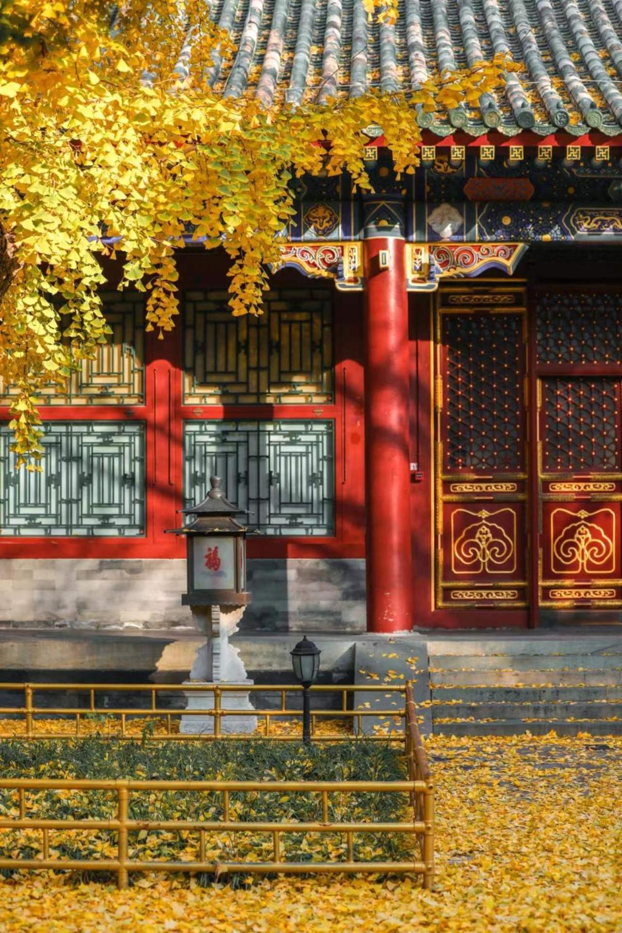 Nostalgia Hotel Near Prince Gong'S Mansion- Beihai Park, Tian'Anmen Square, Nanluoguxiang Hutong, Huguosi Hutong Snack Street, 5 Minutes Walk Away From Ping'Anli Subway Station, Free Ice Cream And Laundry Service,English Communication Well Beijing Eksteriør bilde